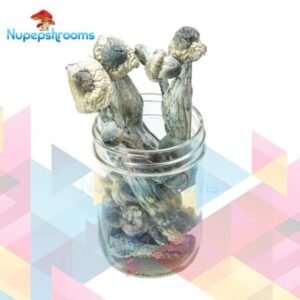 Buy APE Penis Envy Magic Mushrooms Strain Online