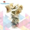 Buy African Transkei Mushrooms Online