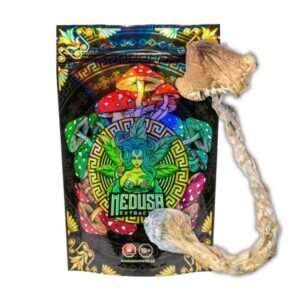 Buy Amazonian Magic Mushrooms Medusa Extracts Online